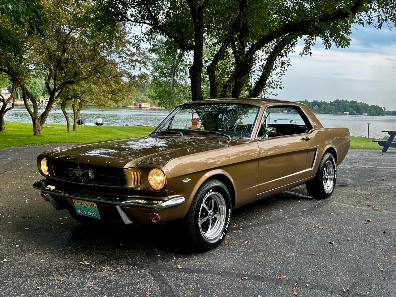 1965 Ford Mustang  - Photo #18