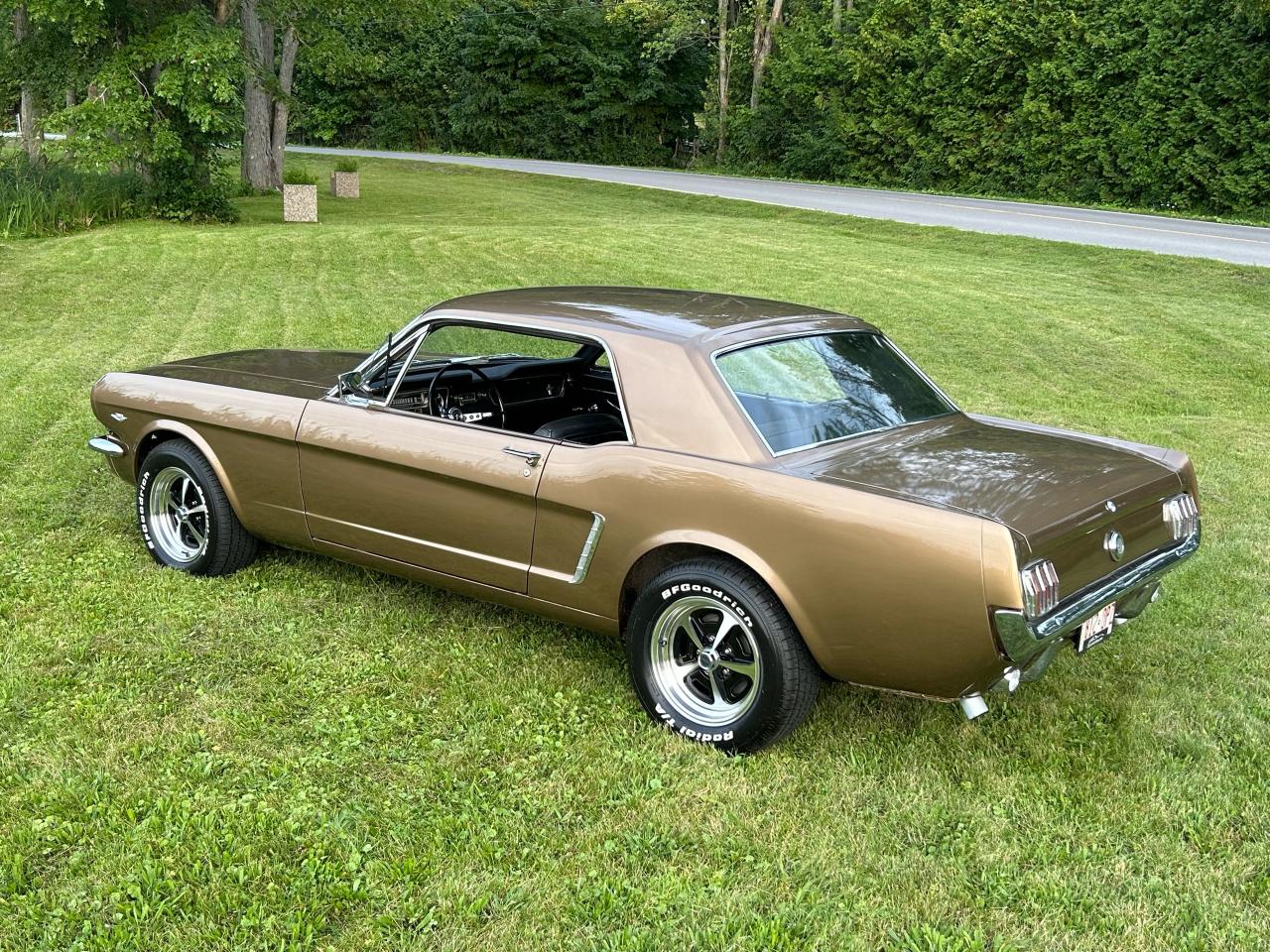 1965 Ford Mustang  - Photo #30