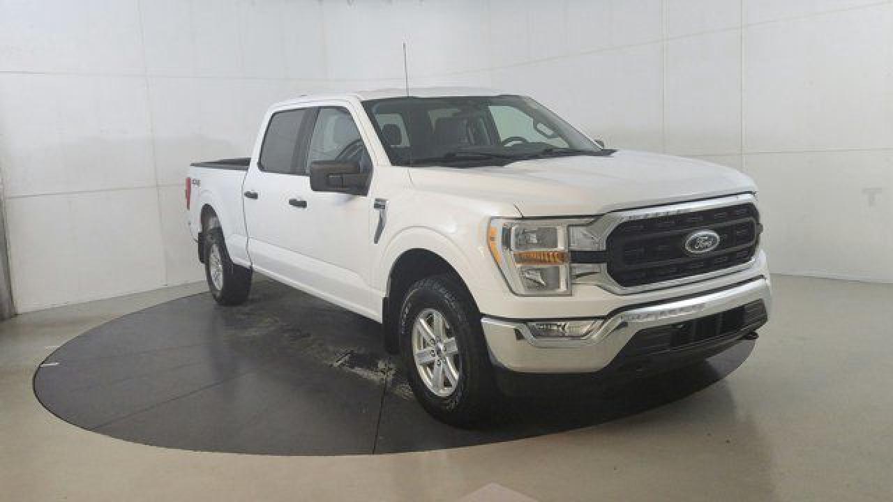 Used 2022 Ford F-150 XLT for sale in Winnipeg, MB