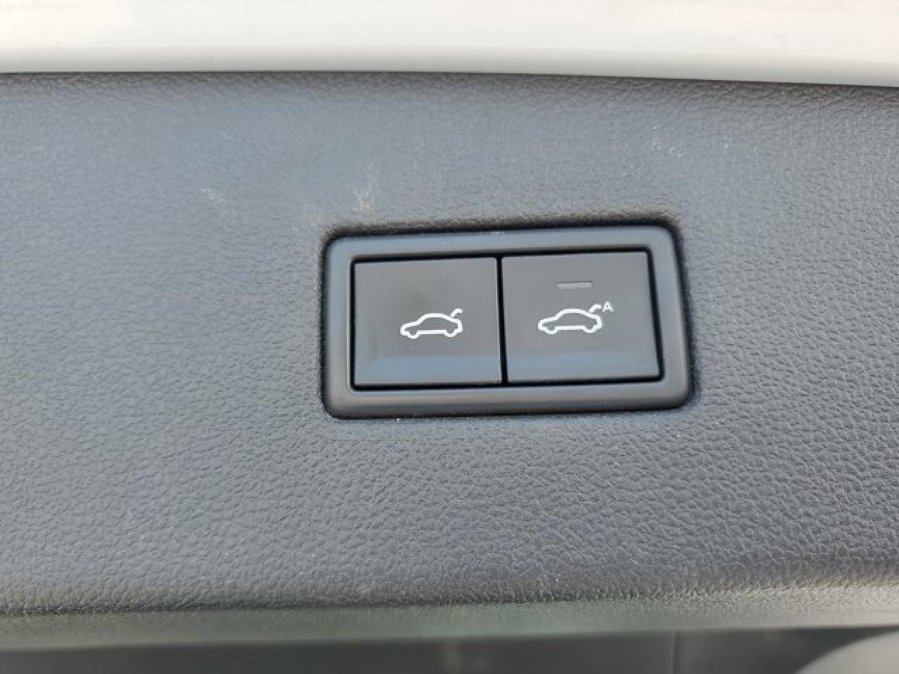 11516556