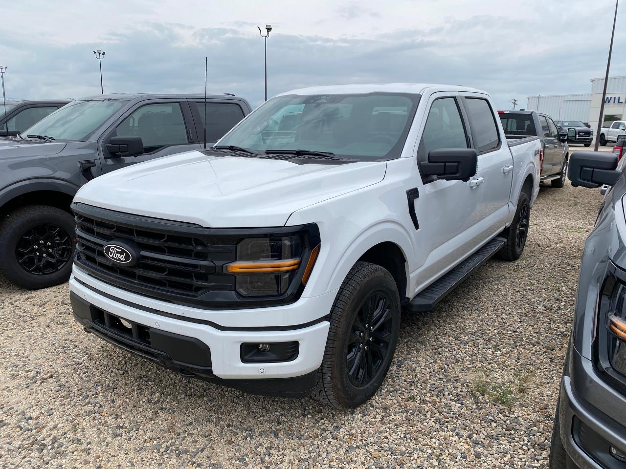 New 2024 Ford F-150 XLT 4WD SuperCrew 5.5' Box 303A for sale in Elie, MB