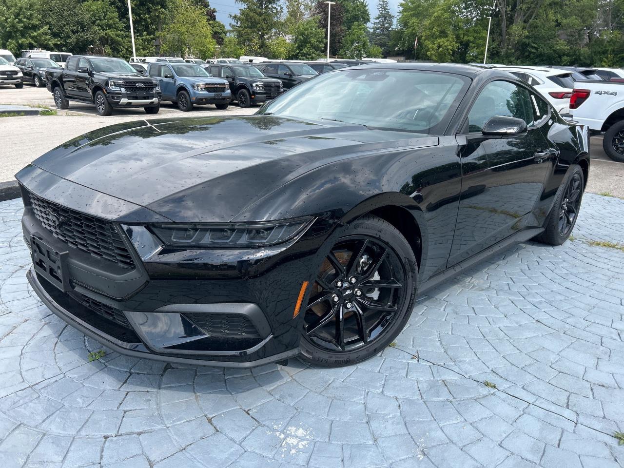 New 2024 Ford Mustang EcoBoost Premium  - Cooled Seats for sale in Caledonia, ON