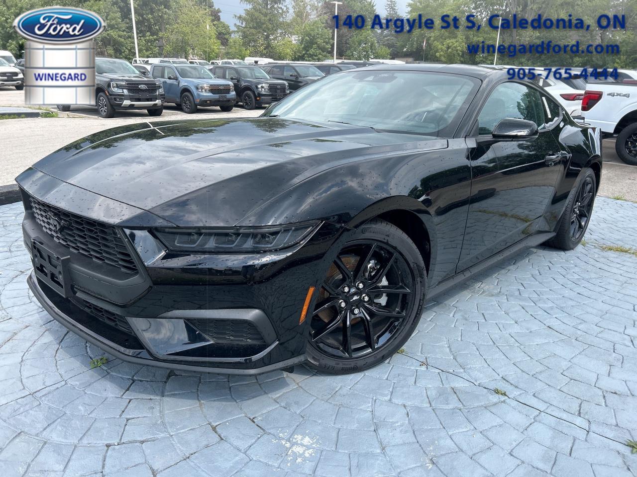 Cooled Seats,  Heated Steering Wheel,  Climate Control,  Blind Spot Detection,  Lane Keeping Assist!           Many of our Demonstrators and Loaners are currently available for sale now that 2024 replacement vehicles have arrived. Ask for more details!    Why Buy From Winegard Ford?   * No Administration fees  * No Additional Charges for Factory Orders  * 100 Point Inspection on All Used Vehicles  * Full Tank of Fuel with Every New or Used Vehicle Purchase  * Licensed Ford Accessories Available  *  Window Tinting Available  * Custom Truck Lift and Leveling Packages Available         The legacy of combining performance, style, and value continues in this fantastic Ford Mustang.      From the roar of the engine to its unmistakable style, this all-new Ford Mustang is guaranteed to raise your heart rate and stir your soul. A performance car through and through, this Mustang offers responsive driving dynamics, a comfortable ride and endless smiles by the mile. Its easy to see why the Ford Mustang is still a true American icon.      This shadow black coupe  has an automatic transmission and is powered by a  2.3L I4 16V PDI DOHC Turbo engine.      Our Mustangs trim level is EcoBoost Premium. The Premium trim of this exhilarating icon adds in heated and ventilated seats with ActiveX upholstery, a heated steering wheel, dual-zone climate control, upgraded aluminum wheels and an upgraded 9-speaker audio system. The great standard features continue with LED headlights, smart device remote engine start, FordPass Connect tracking, smart device integration, and a dazzling 13.2-inch touchscreen with SYNC 4.0 QNX. Safety features include blind spot detection, lane keeping assist with lane departure warning, automatic emergency braking, and front and rear collision mitigation. This vehicle has been upgraded with the following features: Cooled Seats,  Heated Steering Wheel,  Climate Control,  Blind Spot Detection,  Lane Keeping Assist,  Lane Departure Warning,  4g Wi-fi.       View the original window sticker for this vehicle with this url http://www.windowsticker.forddirect.com/windowsticker.pdf?vin=1FA6P8TH2R5104081.     To apply right now for financing use this link : http://www.winegardford.com/financing/application.htm         Weve discounted this vehicle $1000. Total  rebate of $5000 is reflected in the price.   6.99% financing for 84 months.    Buy this vehicle now for the lowest bi-weekly payment of $347.06 with $0 down for 84 months @ 6.99% APR O.A.C. ( taxes included, $13 documentation fee   / Total cost of borrowing $13265   ).  Incentives expire 2025-06-02.  See dealer for details.       o~o