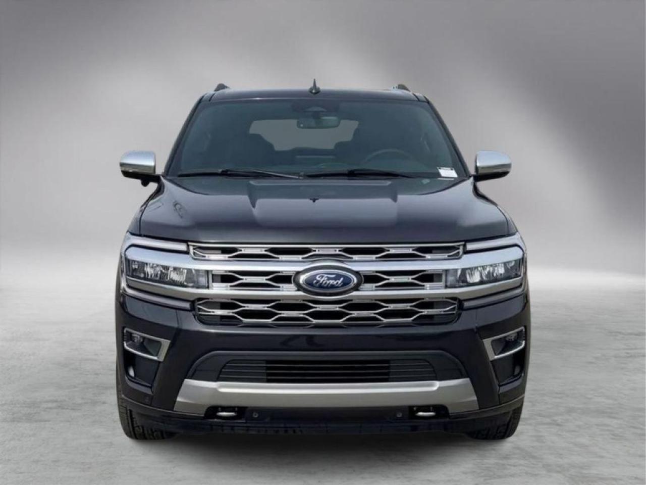 2024 Ford Expedition Platinum 600A Photo5