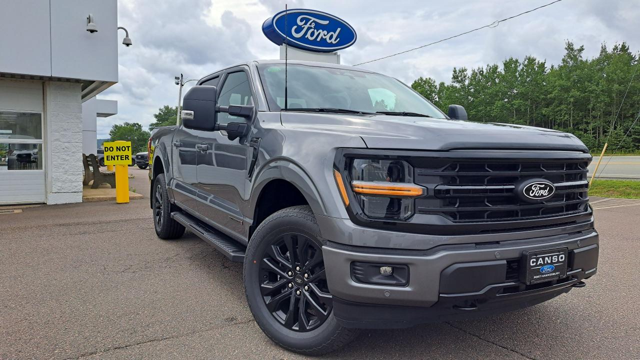 New 2024 Ford F-150 XLT 4WD SUPERCREW 5.5' BOX for sale in Port Hawkesbury, NS