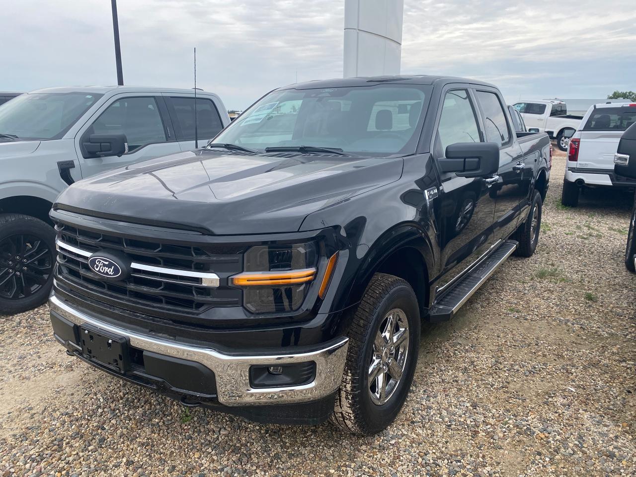 New 2024 Ford F-150 XLT 4WD SuperCrew 6.5' Box 301A for sale in Elie, MB