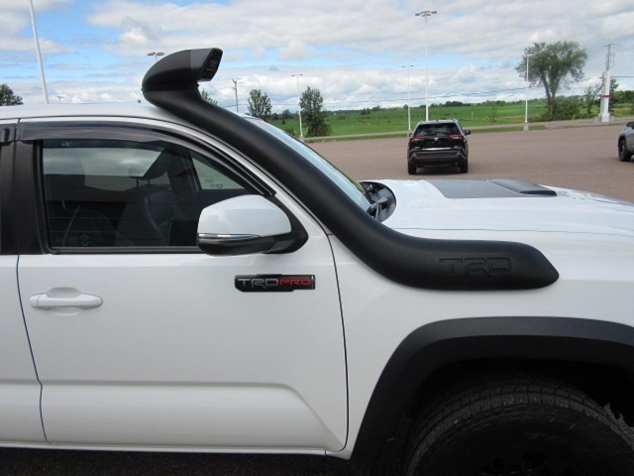 2019 Toyota Tacoma TRD Pro Photo