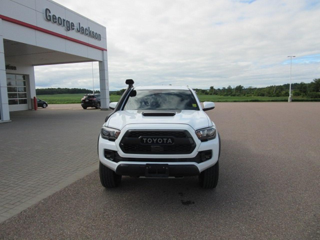 2019 Toyota Tacoma TRD Pro Photo