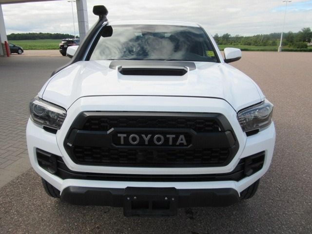2019 Toyota Tacoma TRD Off Road PRO - Photo #4