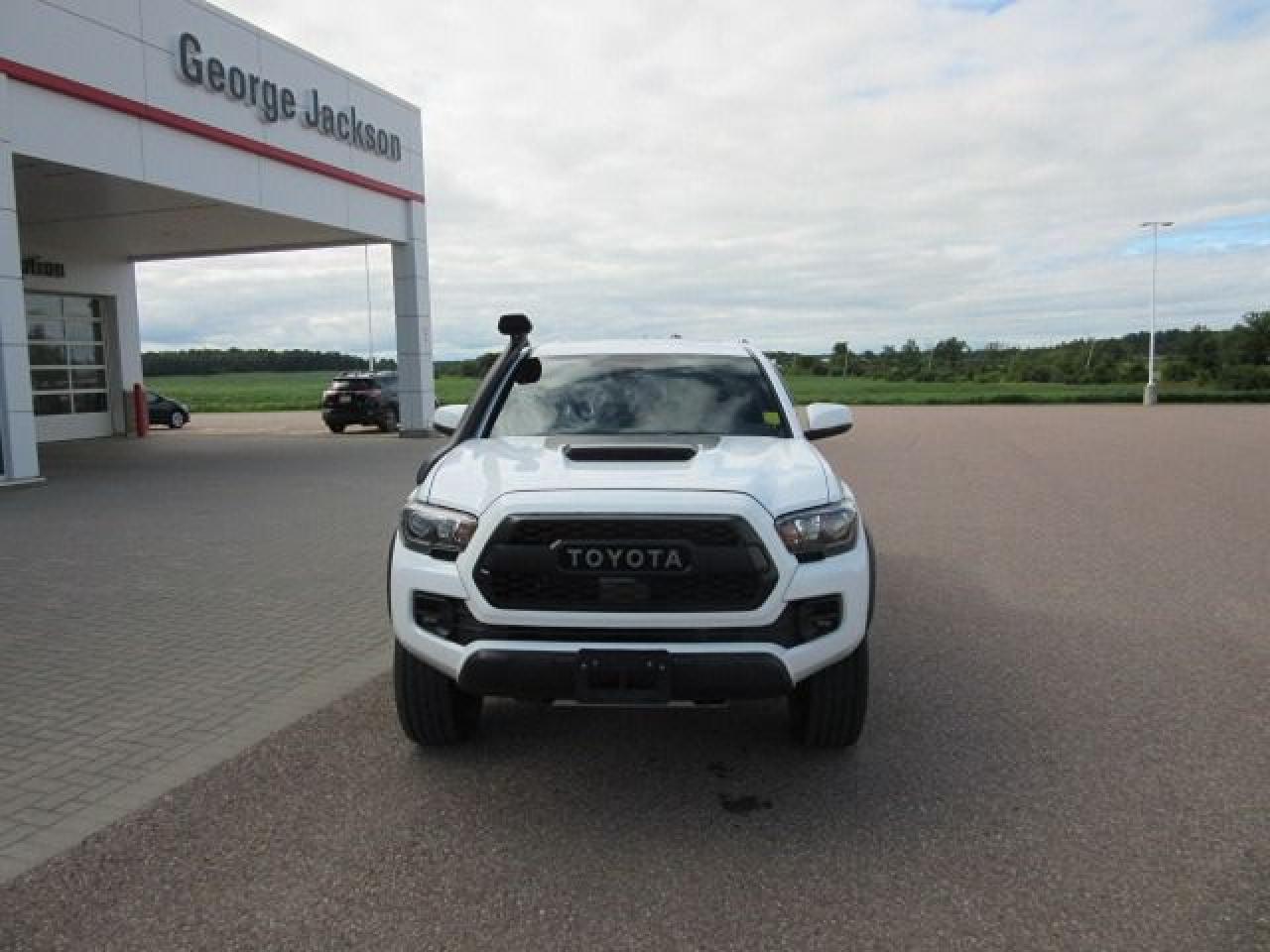 2019 Toyota Tacoma TRD Off Road PRO - Photo #3