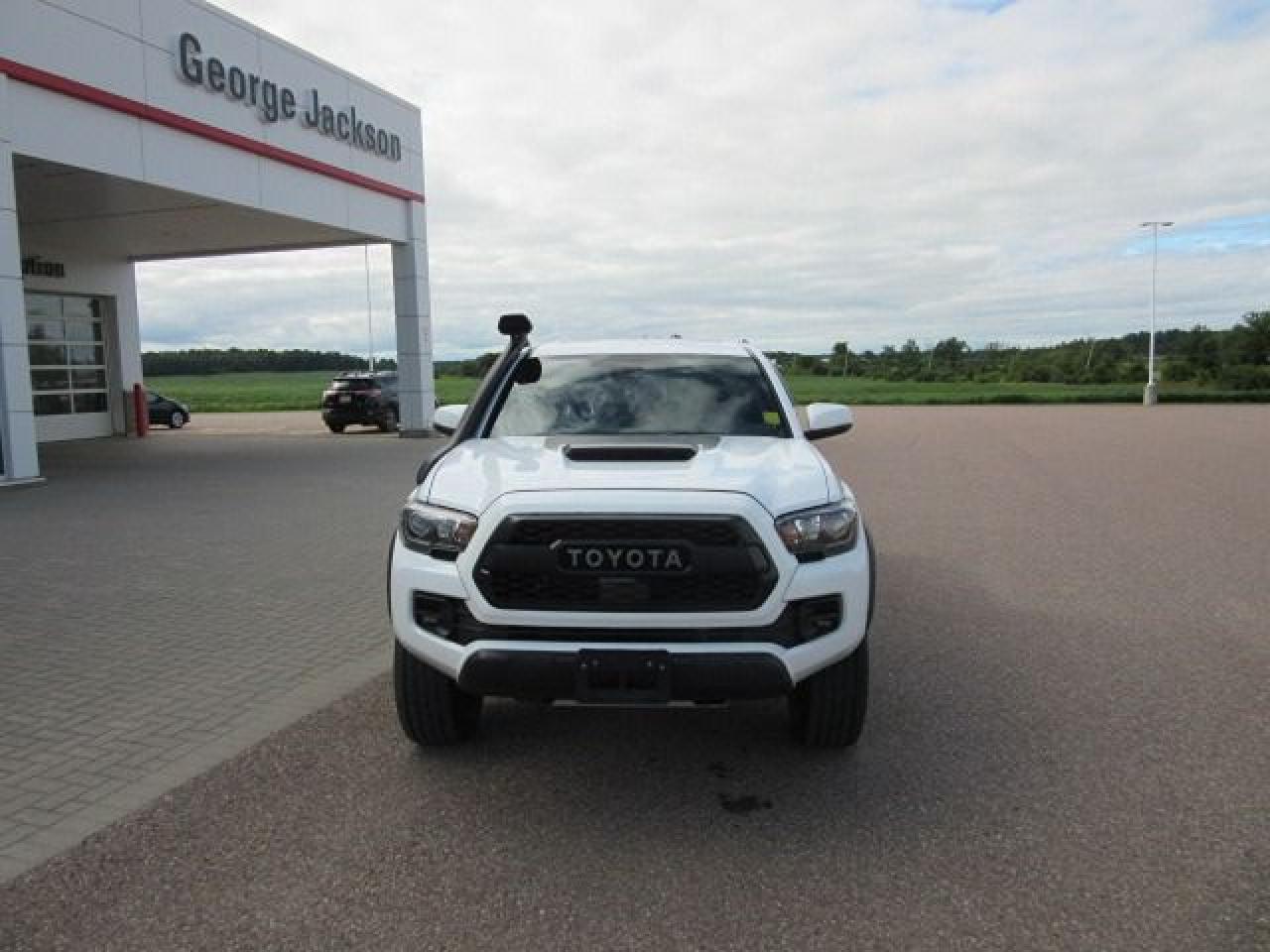2019 Toyota Tacoma TRD Pro - Photo #3