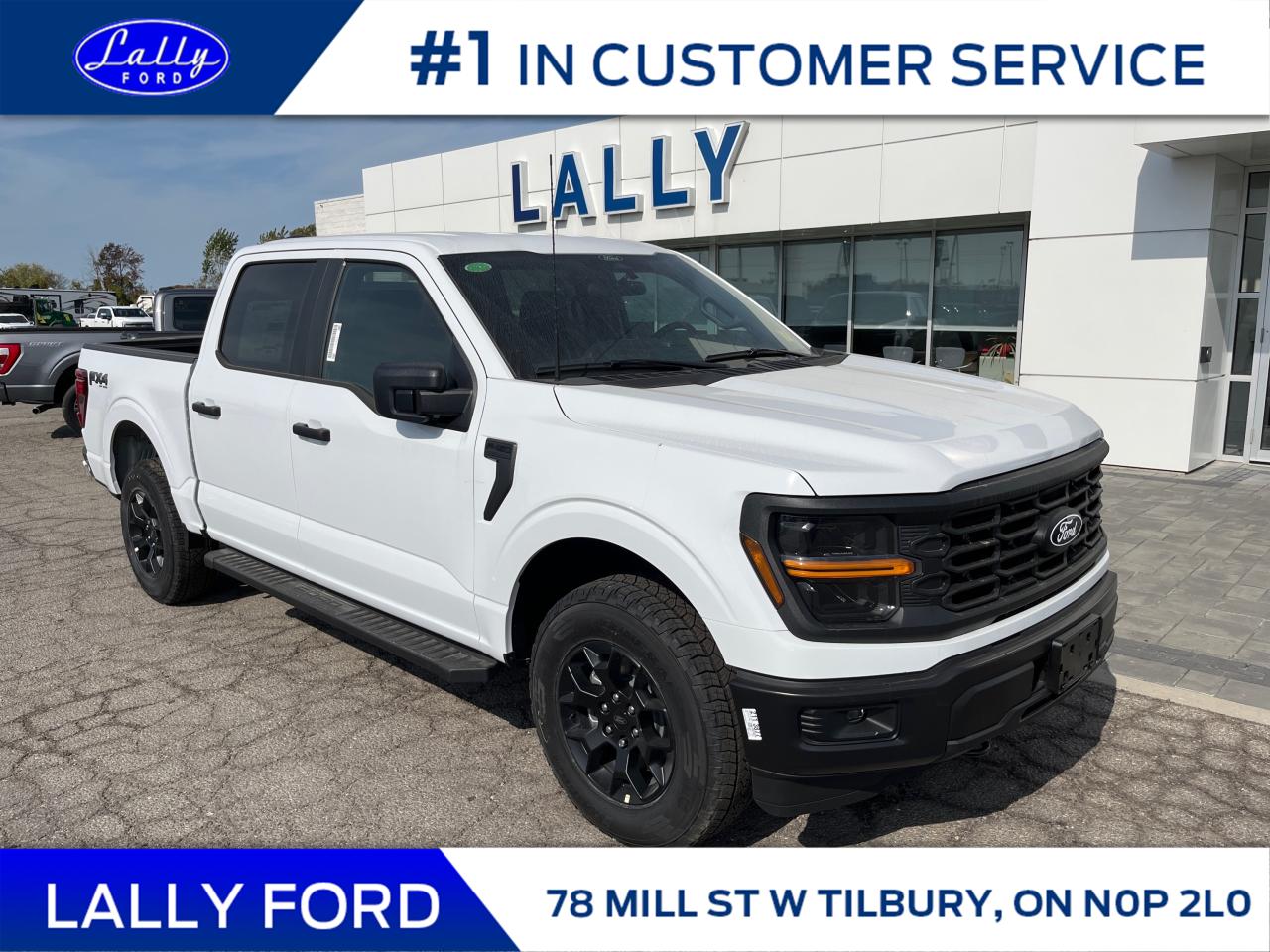 New 2024 Ford F-150 STX for sale in Tilbury, ON