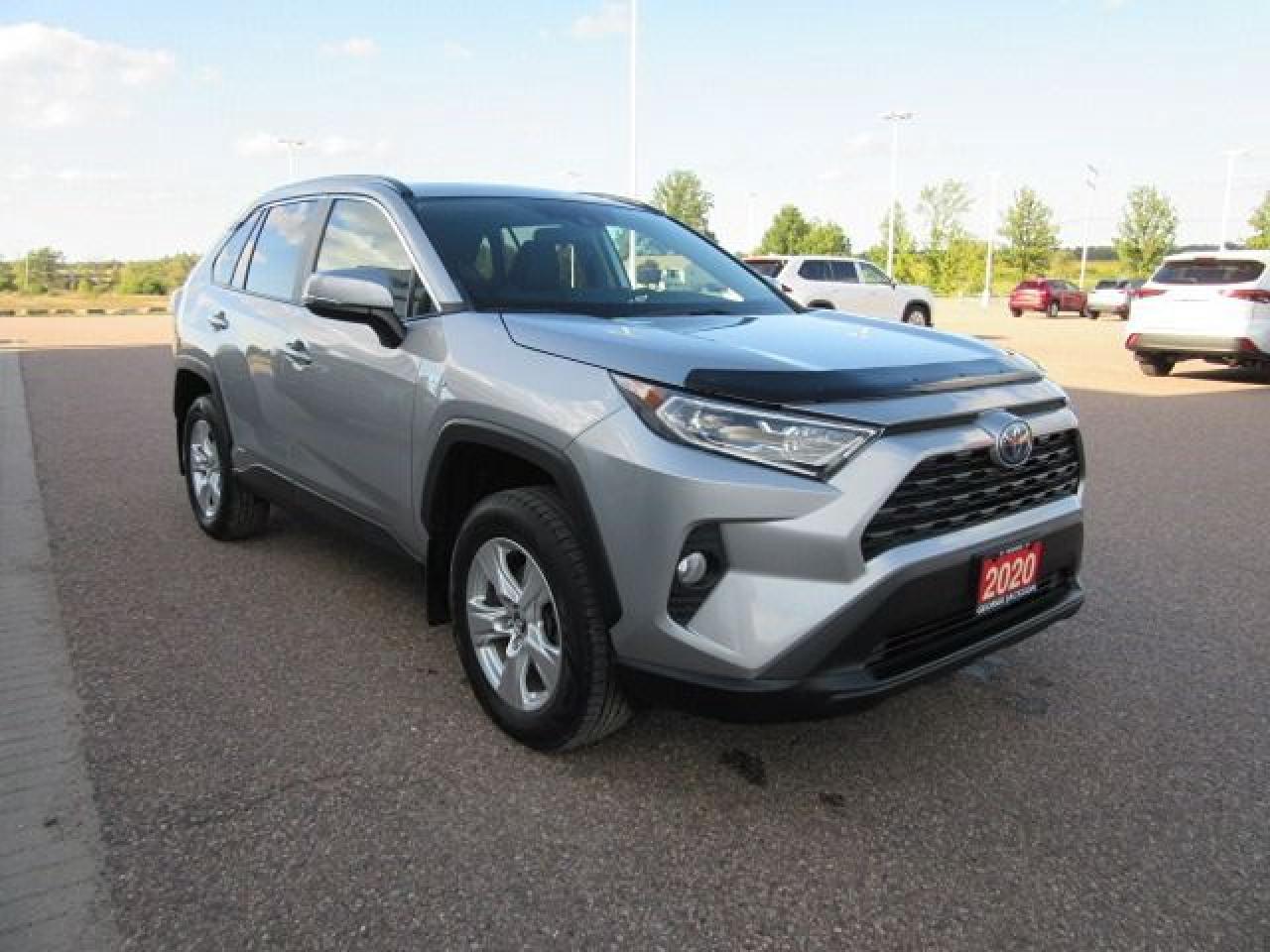 2020 Toyota RAV4 Hybrid XLE - Photo #8