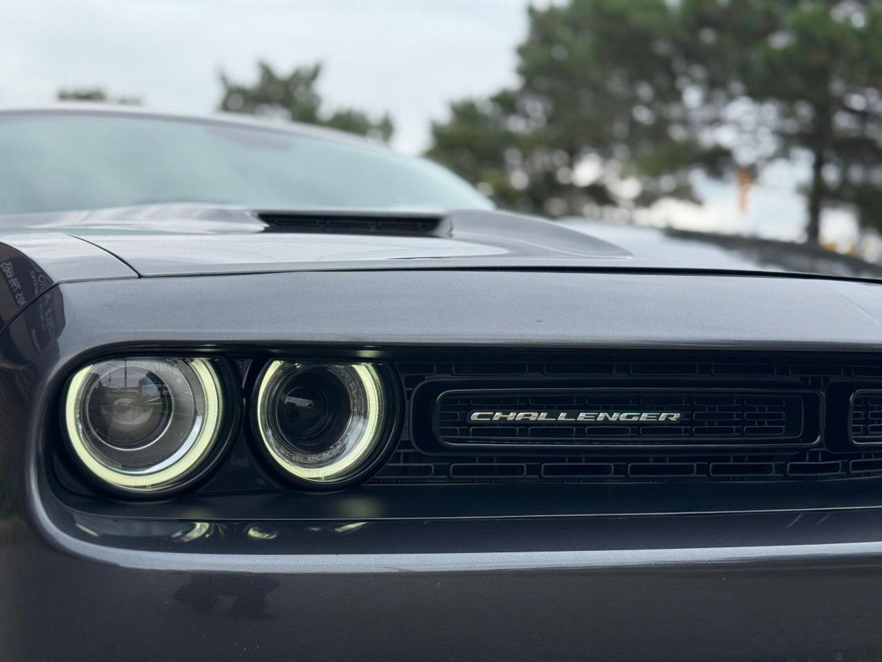 2019 Dodge Challenger SXT Photo3