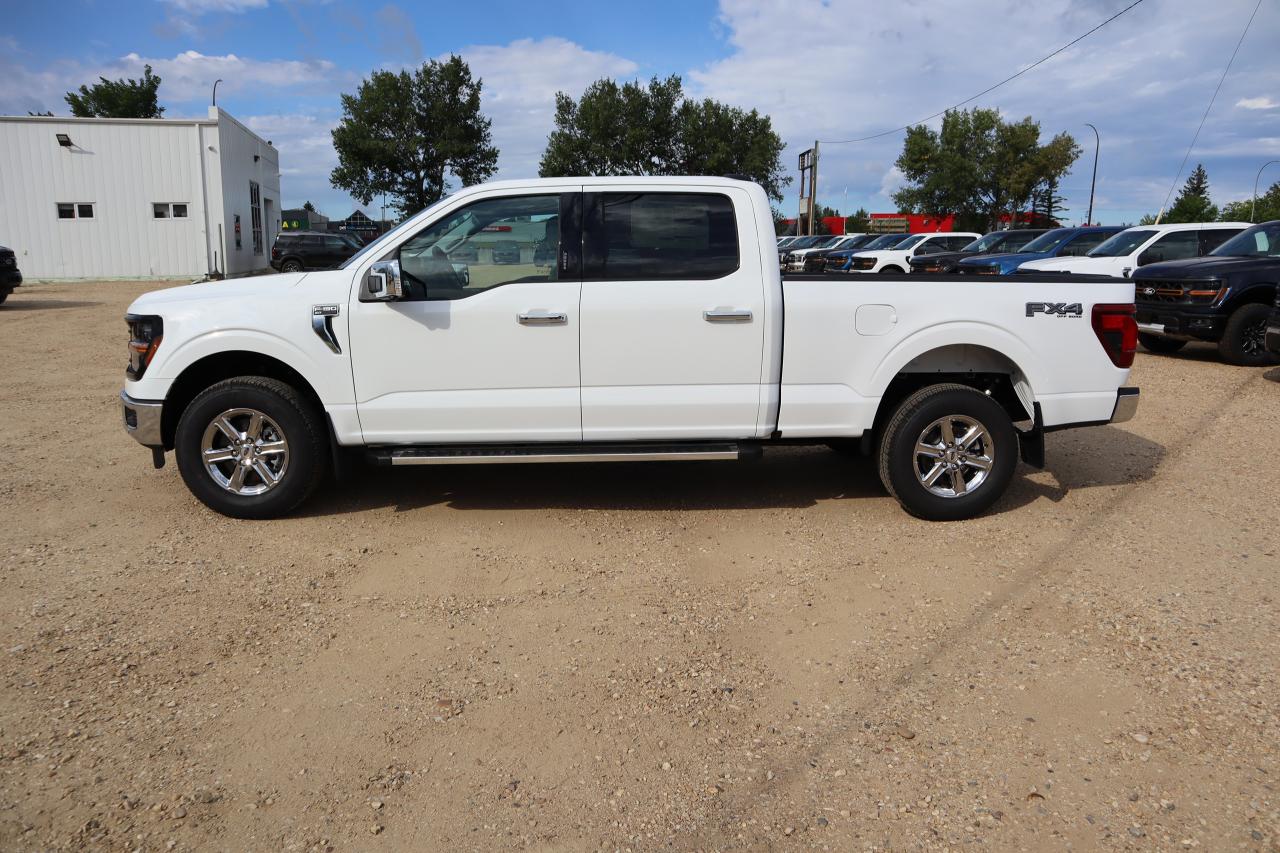 2024 Ford F-150 XLT Photo