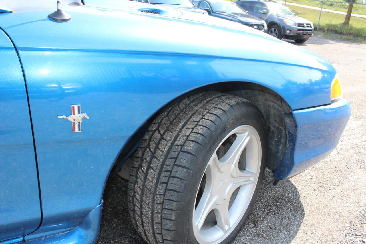 1995 Ford Mustang  Photo