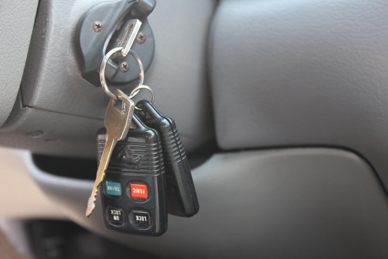 1995 Ford Mustang  Photo