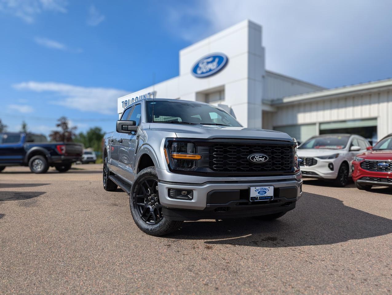 New 2024 Ford F-150 STX for sale in Tatamagouche, NS