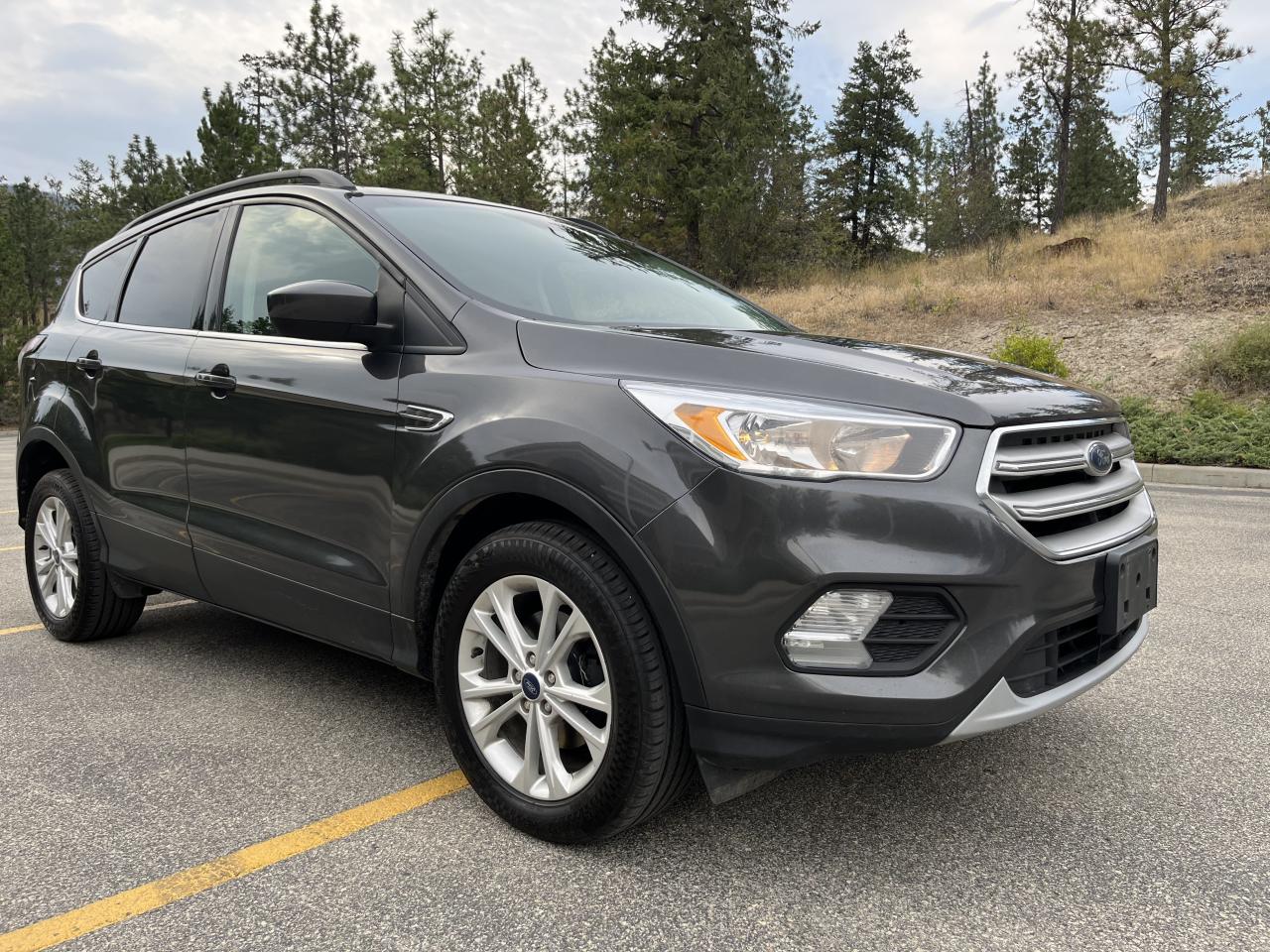 2018 Ford Escape SE FWD - Photo #8