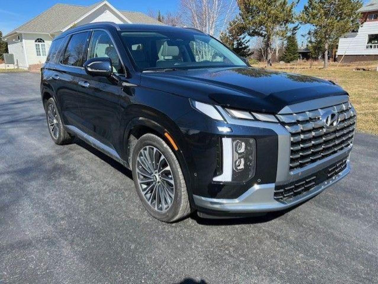 2023 Hyundai PALISADE Ultimate Calligraphy 7-Passenger AWD - Photo #2