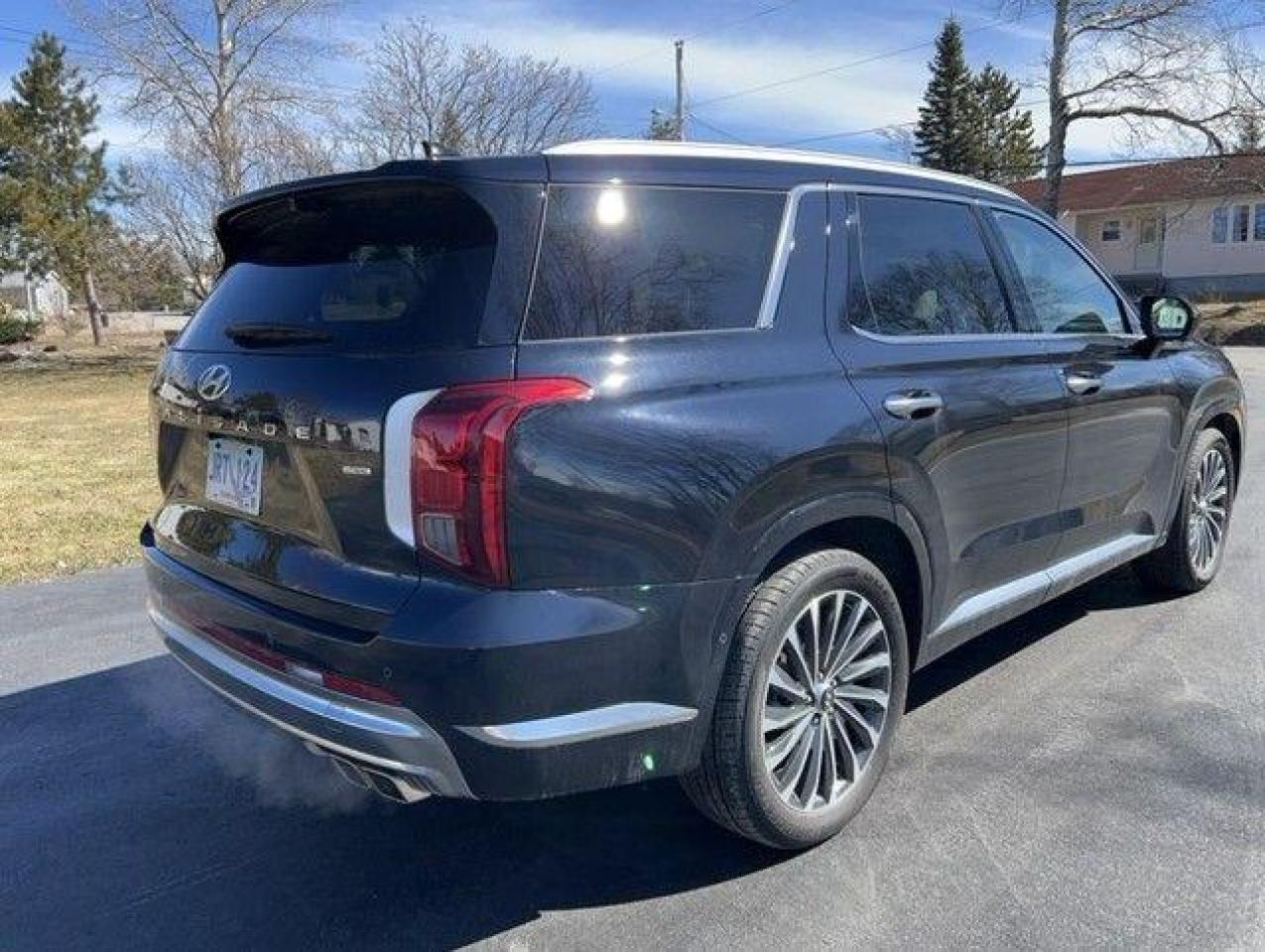 2023 Hyundai PALISADE Ultimate Calligraphy 7-Passenger AWD - Photo #4