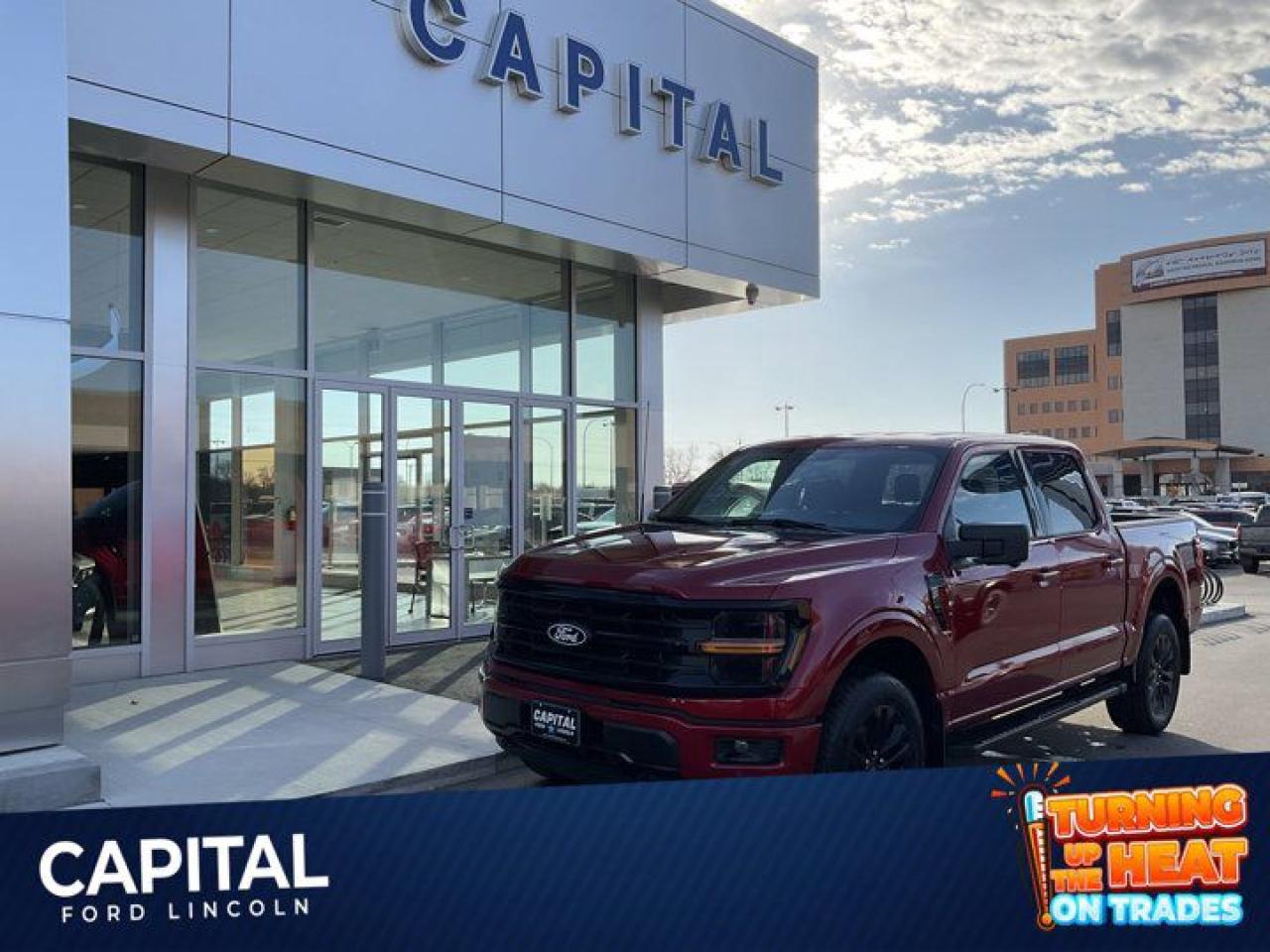 New 2024 Ford F-150 XLT for sale in Winnipeg, MB