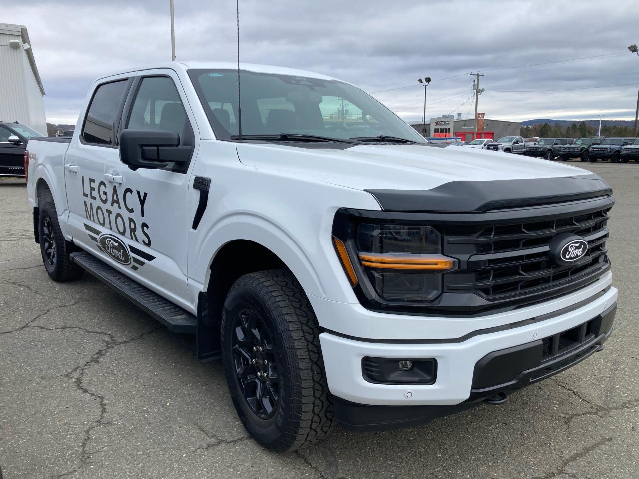 New 2024 Ford F-150 XLT for sale in Woodstock, NB