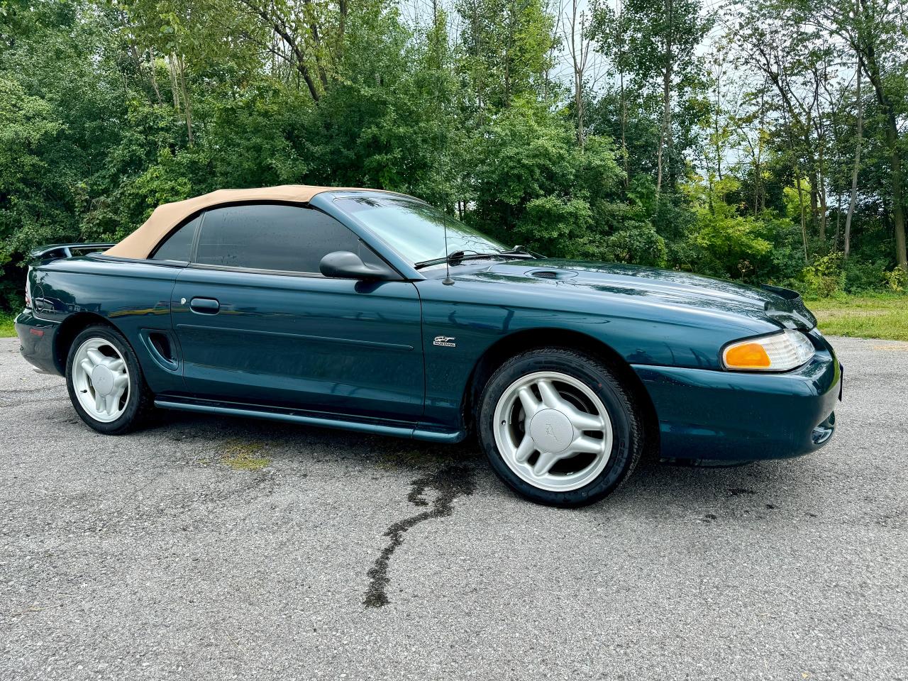 Used 1995 Ford Mustang 2dr Convertible GT for sale in Perth, ON