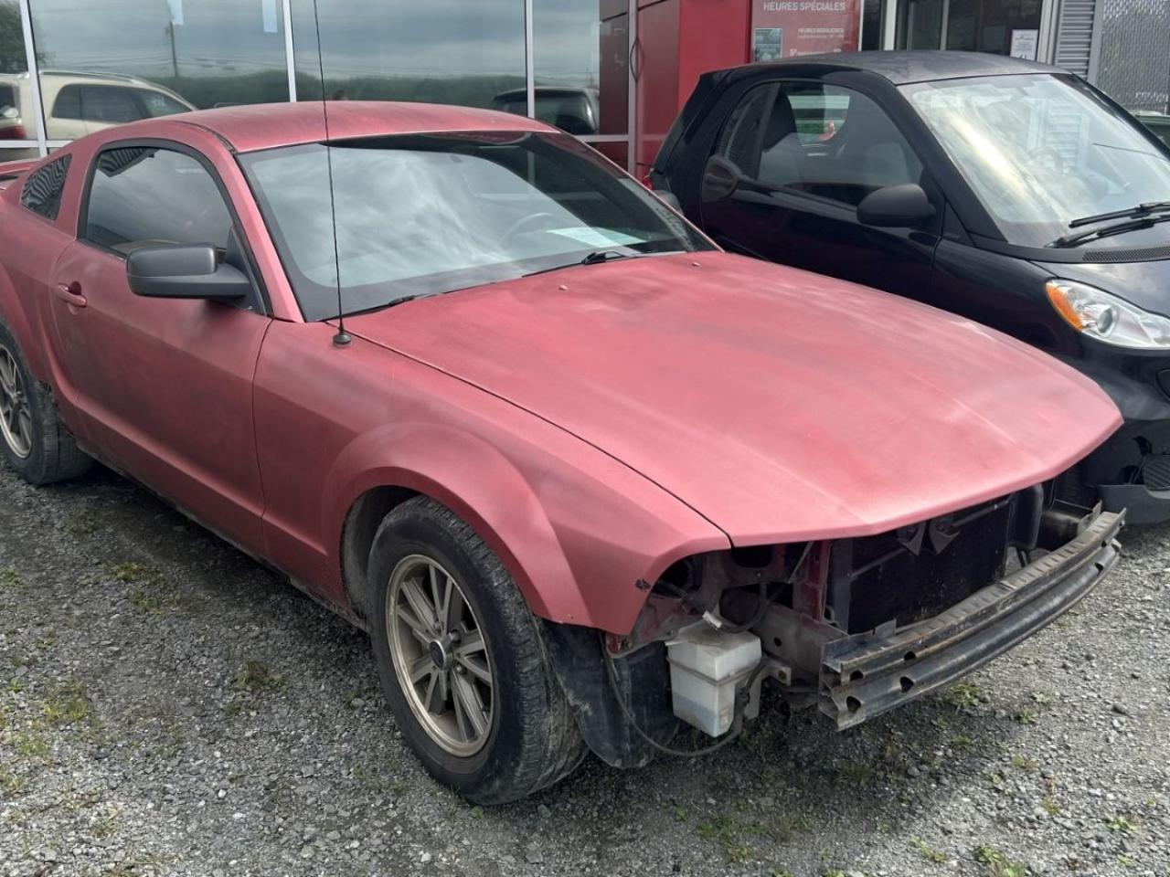 Used 2005 Ford Mustang V6 Deluxe for sale in Sherbrooke, QC