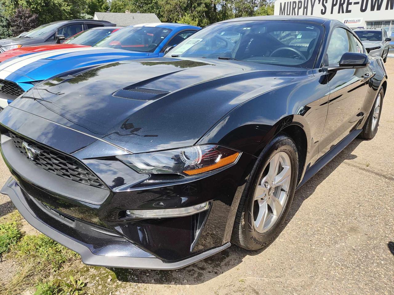 Used 2020 Ford Mustang EcoBoost for sale in Pembroke, ON