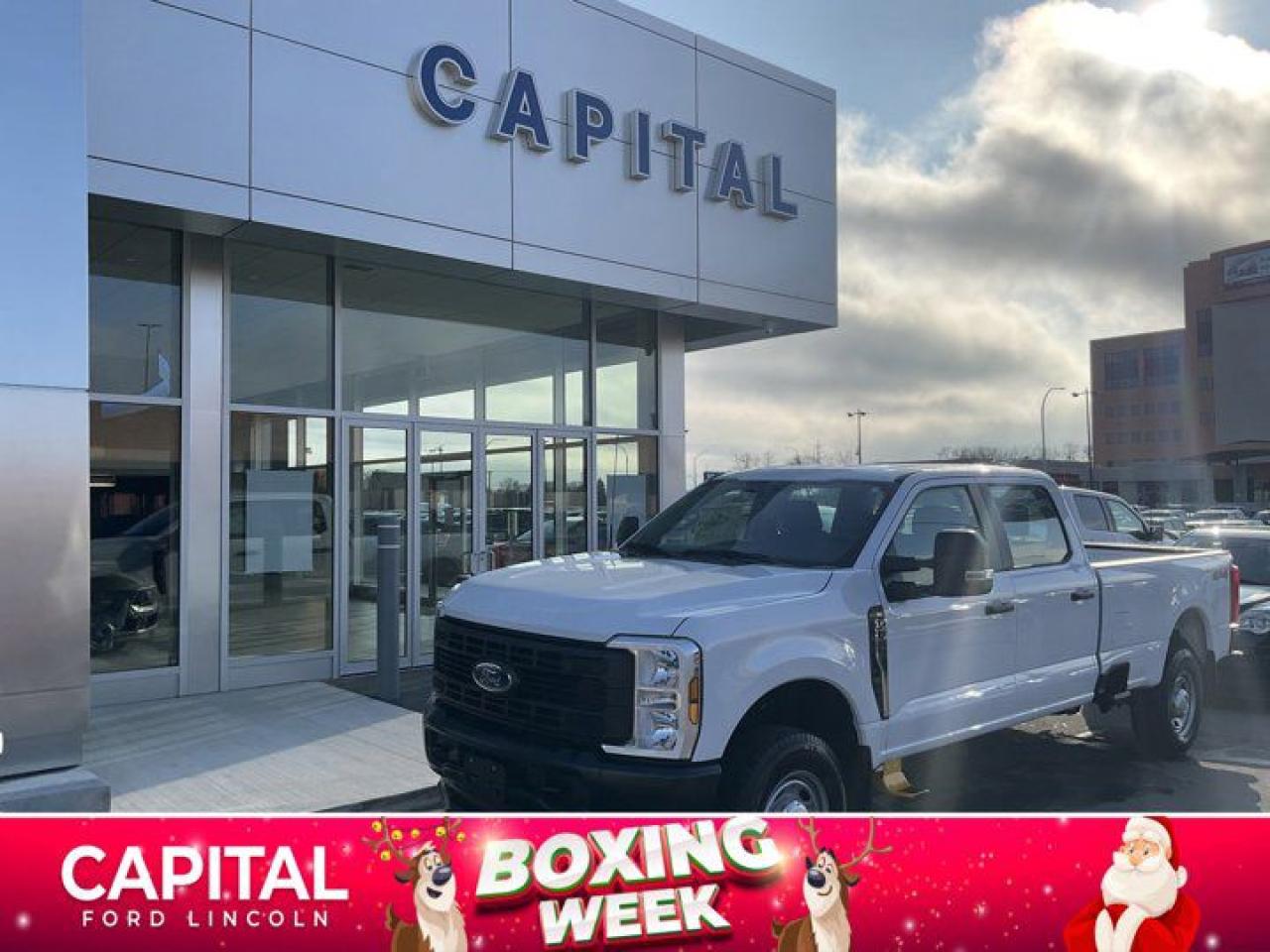 New 2024 Ford F-250 Super Duty SRW XL for sale in Winnipeg, MB