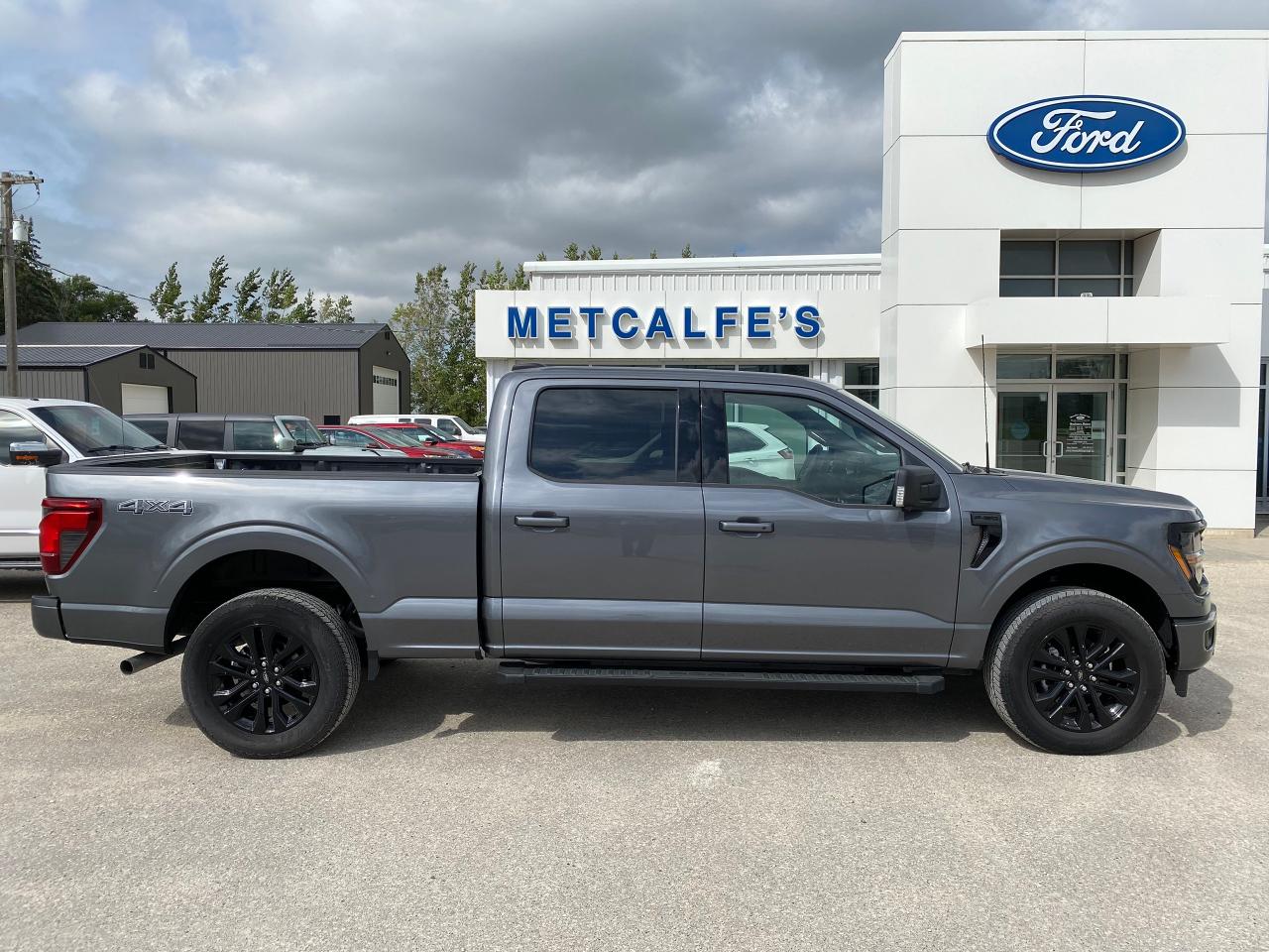 New 2024 Ford F-150 XLT 4WD SUPERCREW 6.5' BOX for sale in Treherne, MB