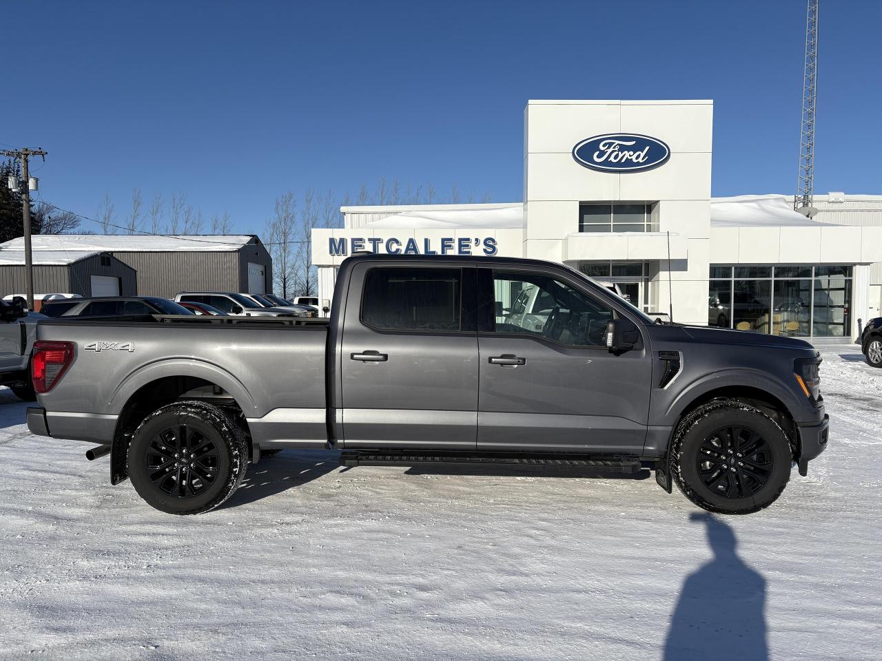 New 2024 Ford F-150 XLT 4WD SUPERCREW 6.5' BOX for sale in Treherne, MB