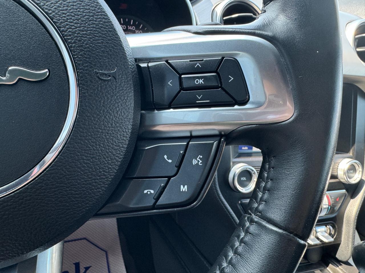 2019 Ford Mustang EcoBoost Premium Fastback - Photo #13