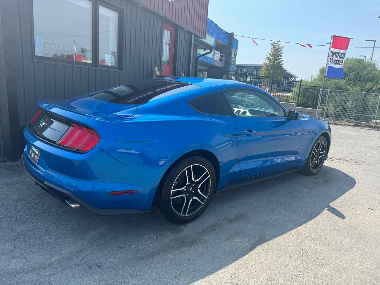 2019 Ford Mustang EcoBoost Premium Fastback - Photo #6