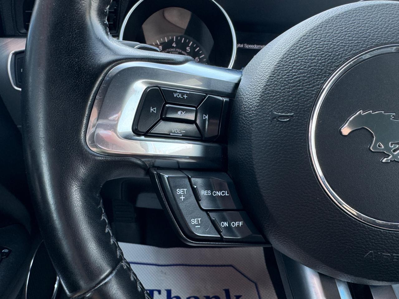 2019 Ford Mustang EcoBoost Premium Fastback - Photo #11