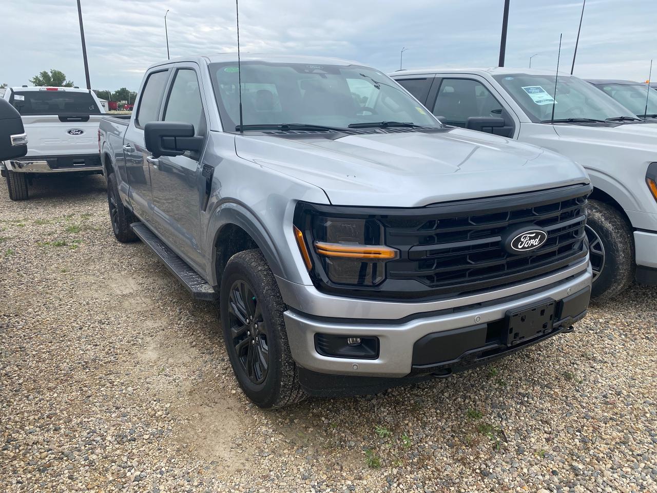 New 2024 Ford F-150 XLT 4WD SUPERCREW 6.5' BOX for sale in Elie, MB