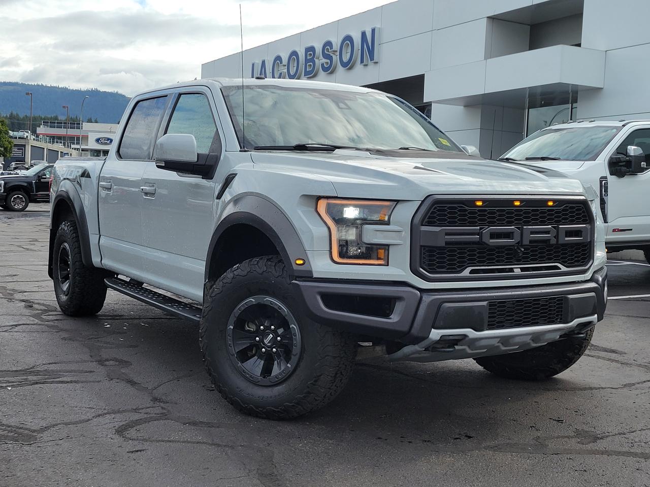 2017 Ford F-150 RAPTOR Photo2