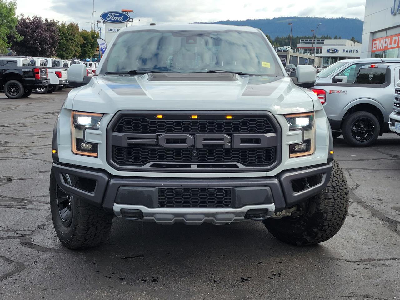 2017 Ford F-150 RAPTOR Photo3