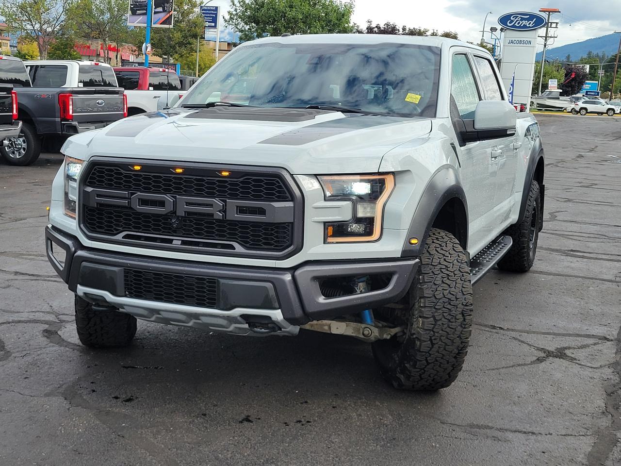 2017 Ford F-150 RAPTOR Photo