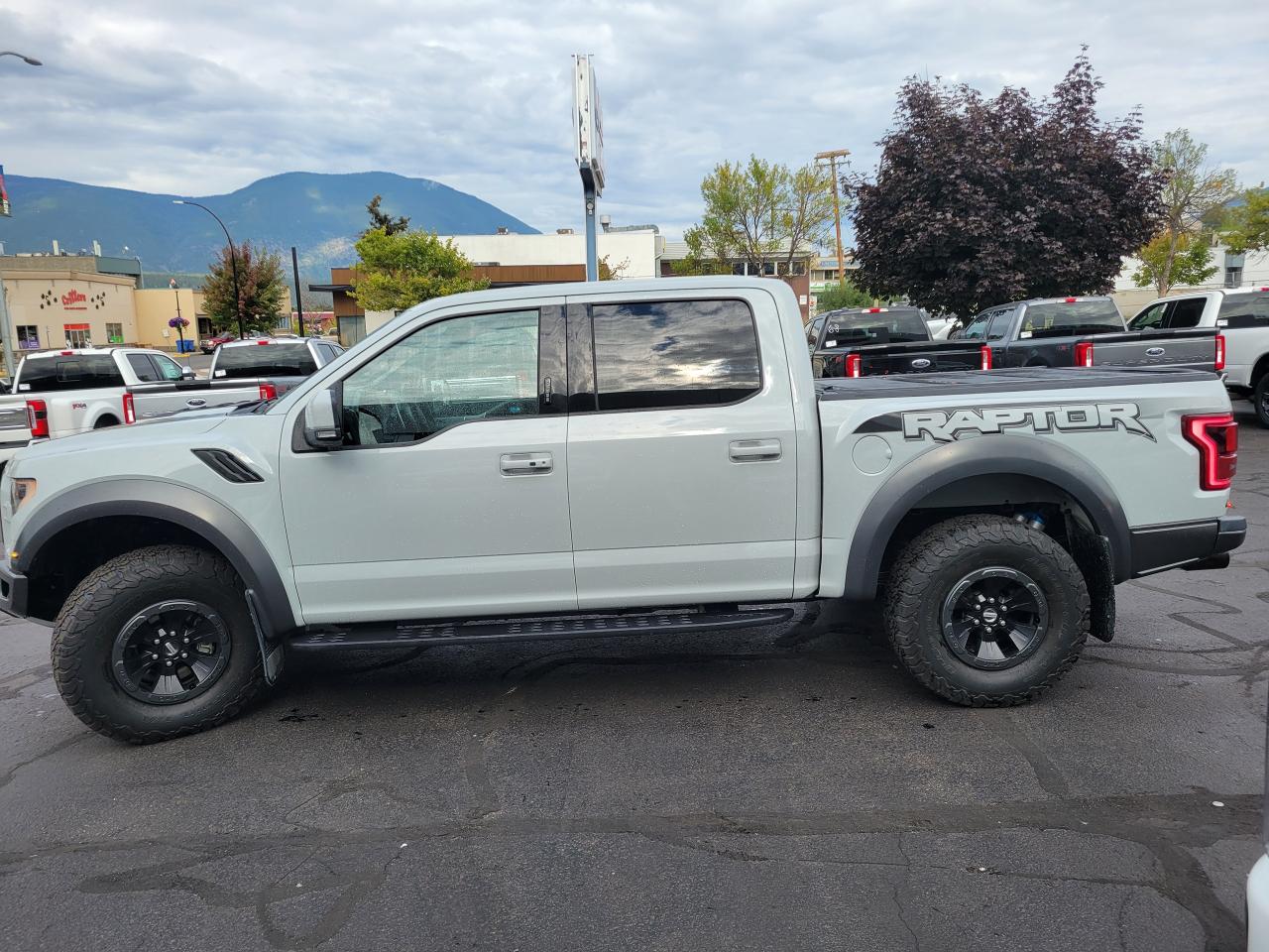 2017 Ford F-150 RAPTOR Photo4