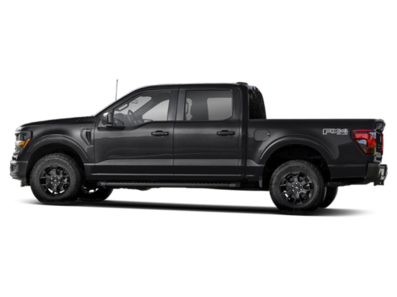 2024 Ford F-150 STX Photo