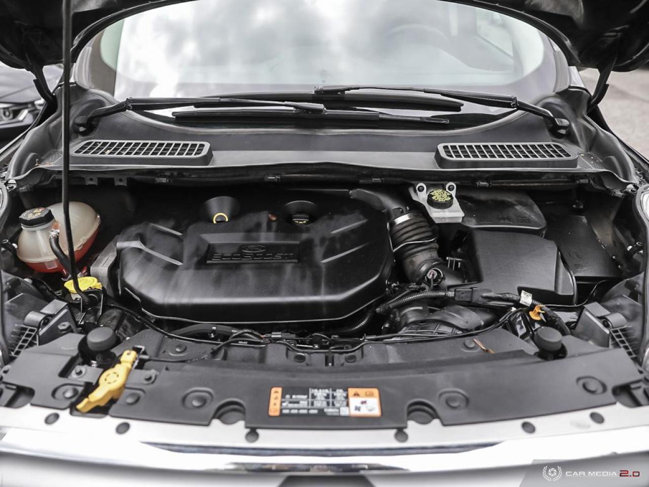 2017 Ford Escape SE AWD Photo