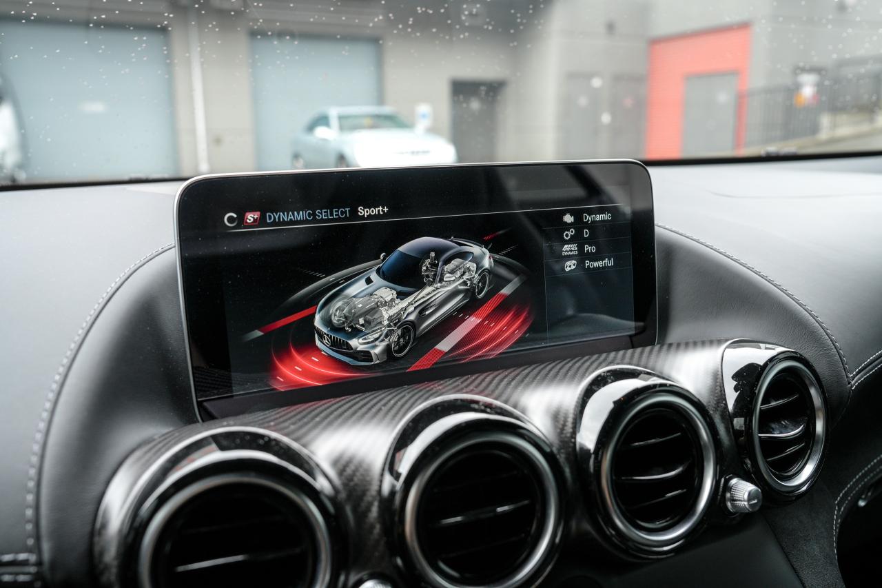 2020 Mercedes-Benz AMG GT GTR PRO - Photo #16
