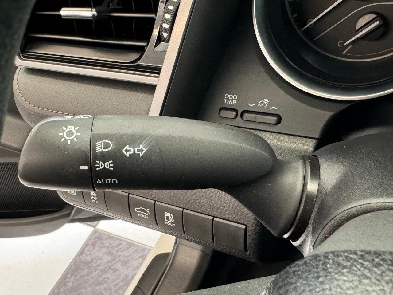 2019 Toyota Camry LE+Camera+Adaptive Cruise+ApplePlay+CLEAN CARFAX - Photo #48