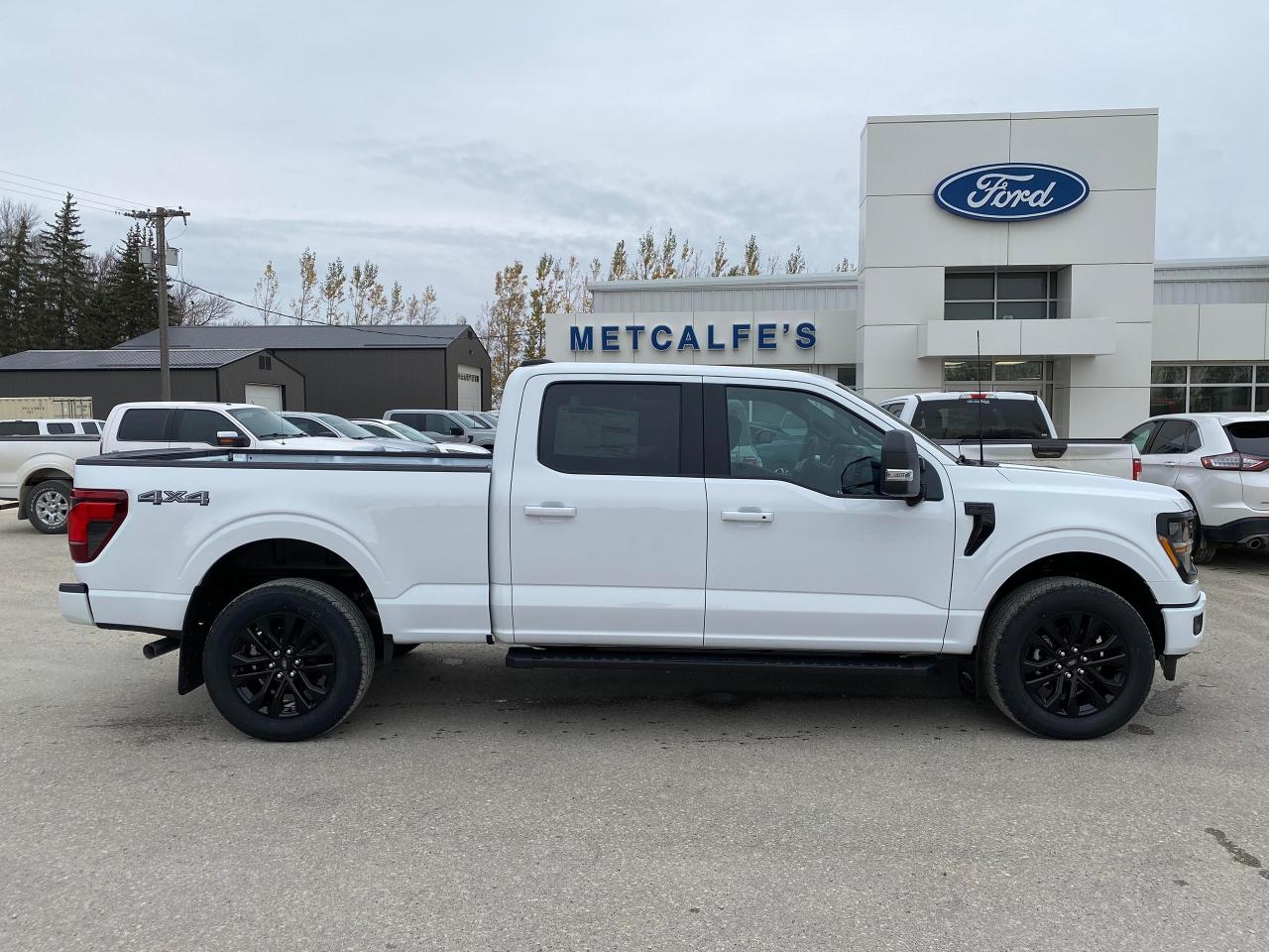 New 2024 Ford F-150 XLT 4WD SUPERCREW 6.5' BOX for sale in Treherne, MB