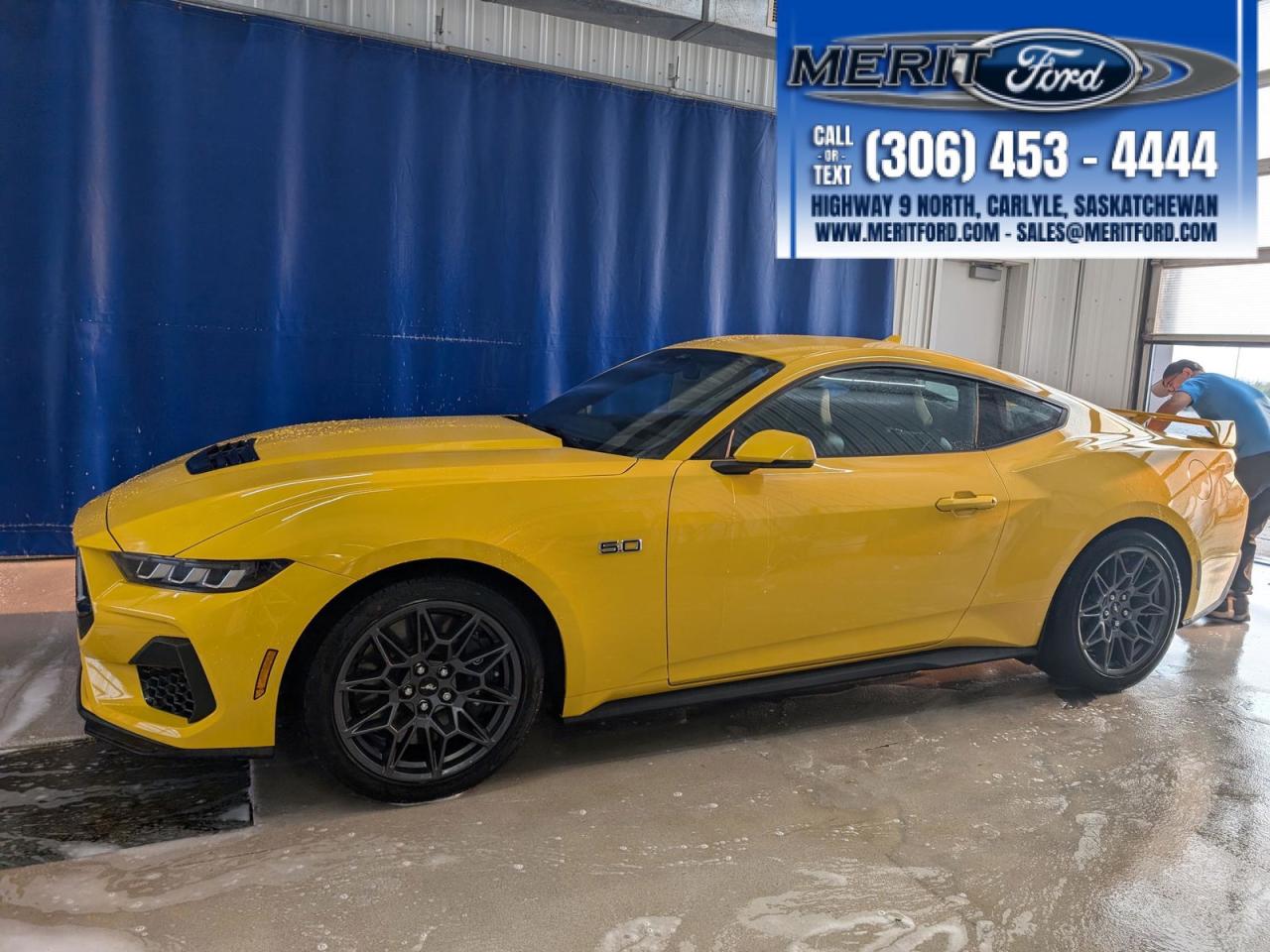 New 2024 Ford Mustang GT Premium - Coupe, RWD, CoPilot for sale in Carlyle, SK