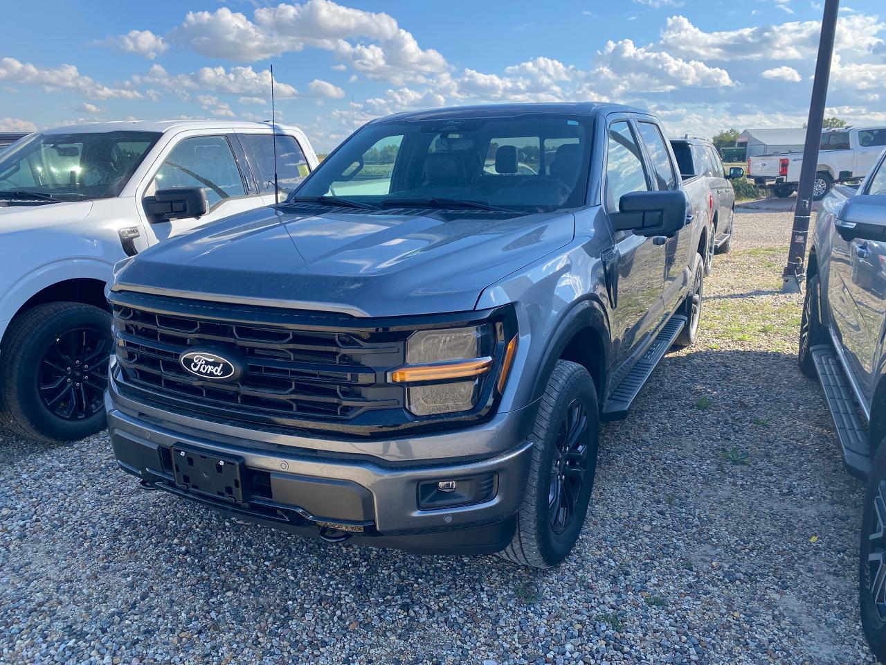 New 2024 Ford F-150 XLT 4WD SuperCrew 5.5' Box 303A for sale in Elie, MB