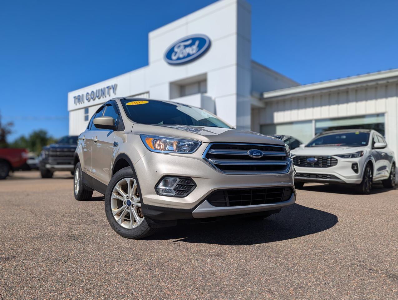 Used 2017 Ford Escape SE for sale in Tatamagouche, NS