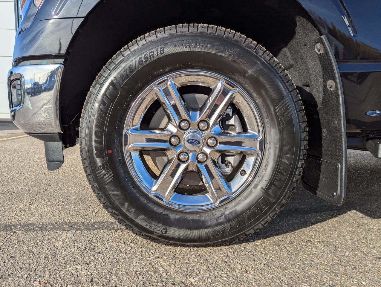 2024 Ford F-150 XLT Photo5